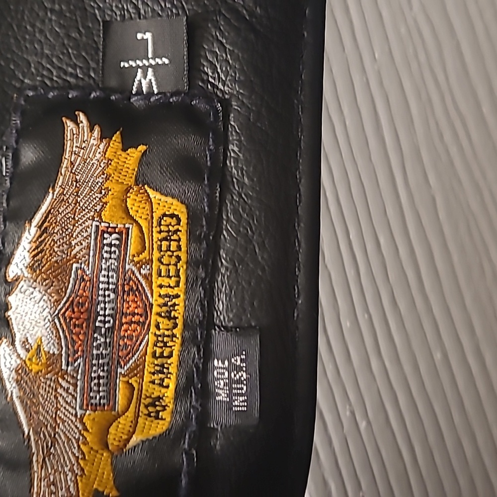 Leather Chaps - image 4